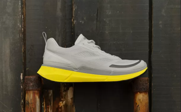 ECCO BIOM 2.2)