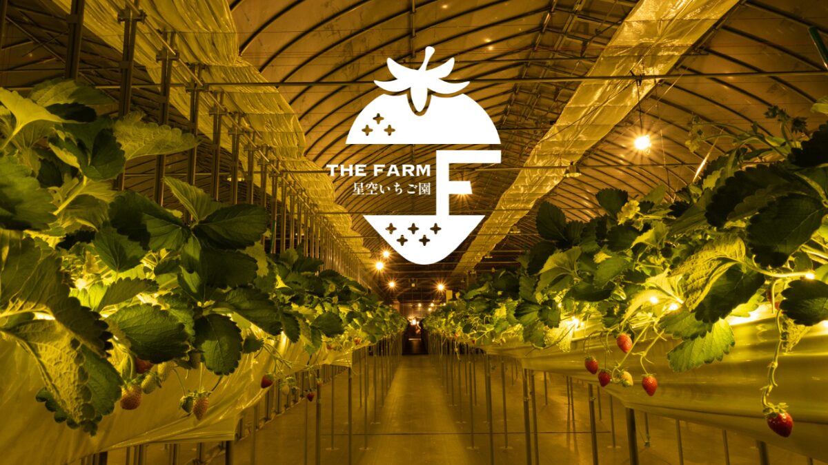 THE FARM 星空いちご園が12月20日にグランドオープン！